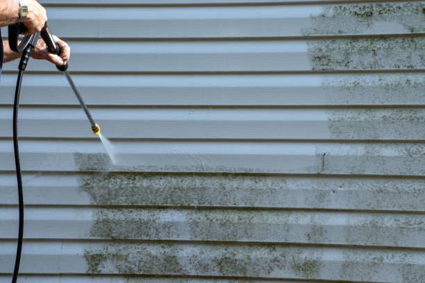 Best Fiber Cement Siding Installation  in Beale Af, CA