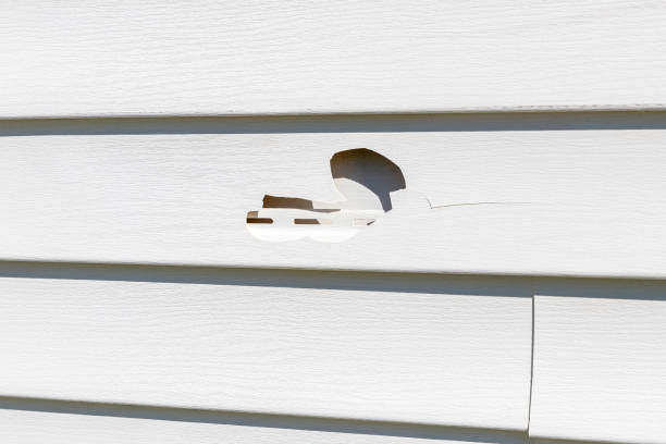 Affordable siding repair and maintenance services in Beale Af, CA