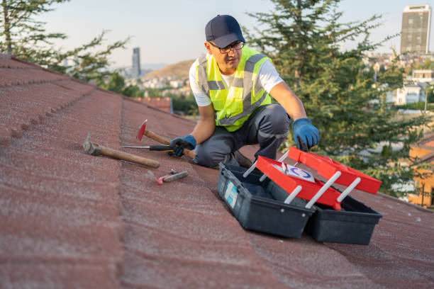 Best Fiber Cement Siding Installation  in Beale Af, CA