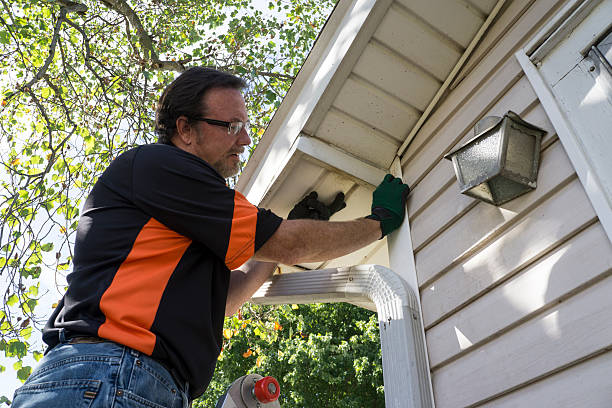 Best Siding Painting and Refinishing  in Beale Af, CA